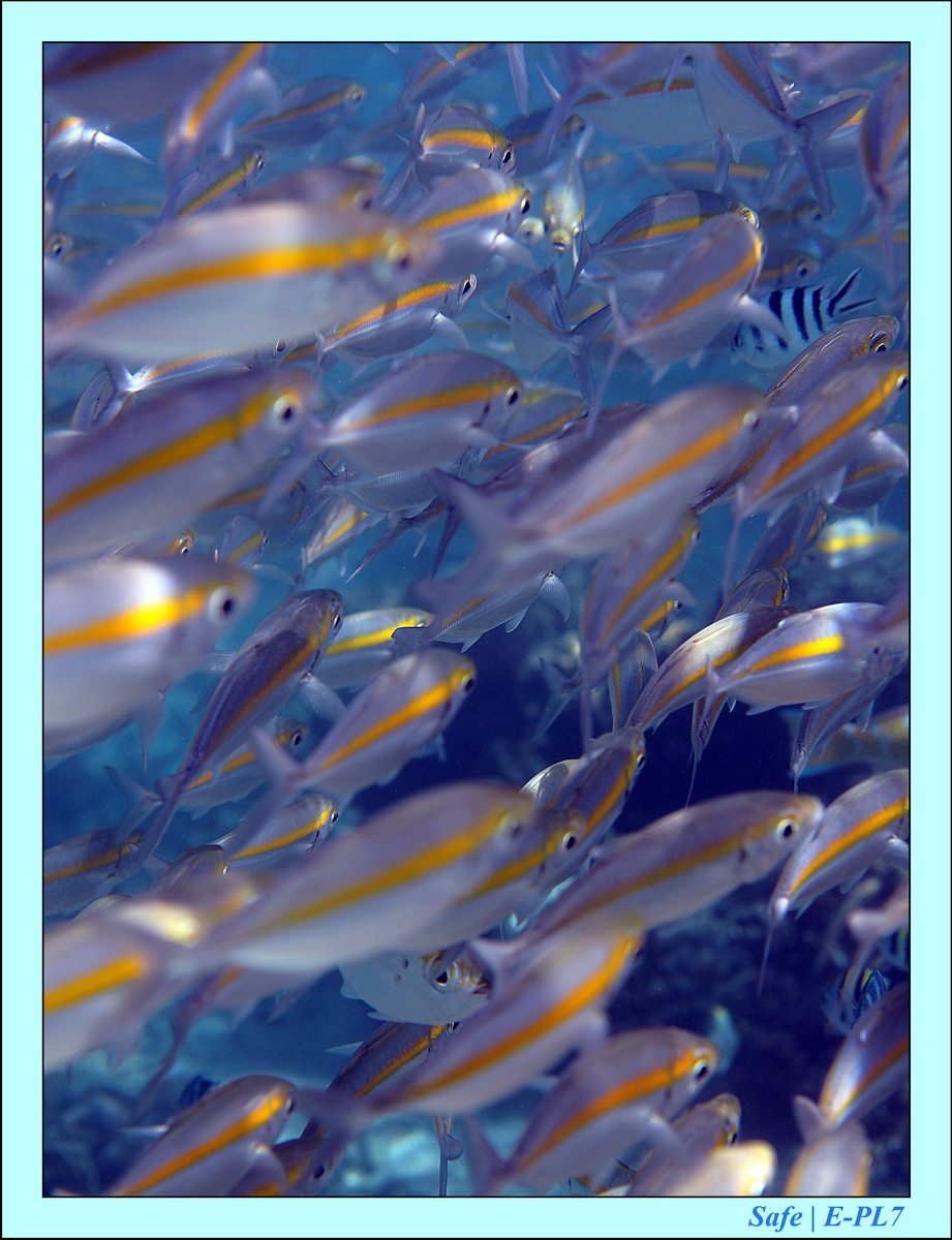 2016 - 07 - Leng Tengah - 062